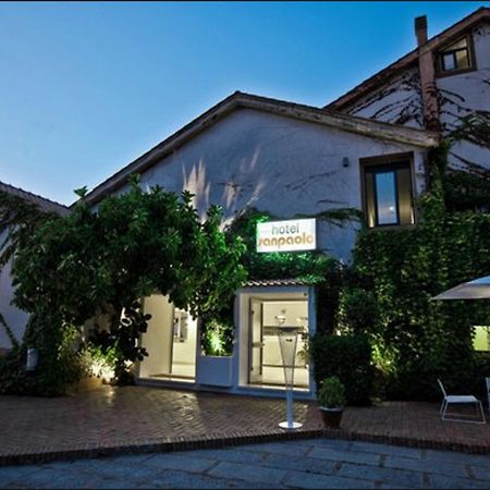 Hotel San Paolo Palinuro Esterno foto